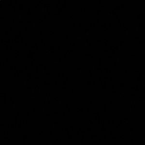 Meet your Posher, Melody